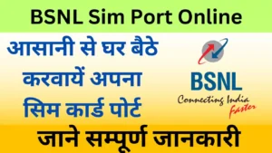 bsnl sim port online